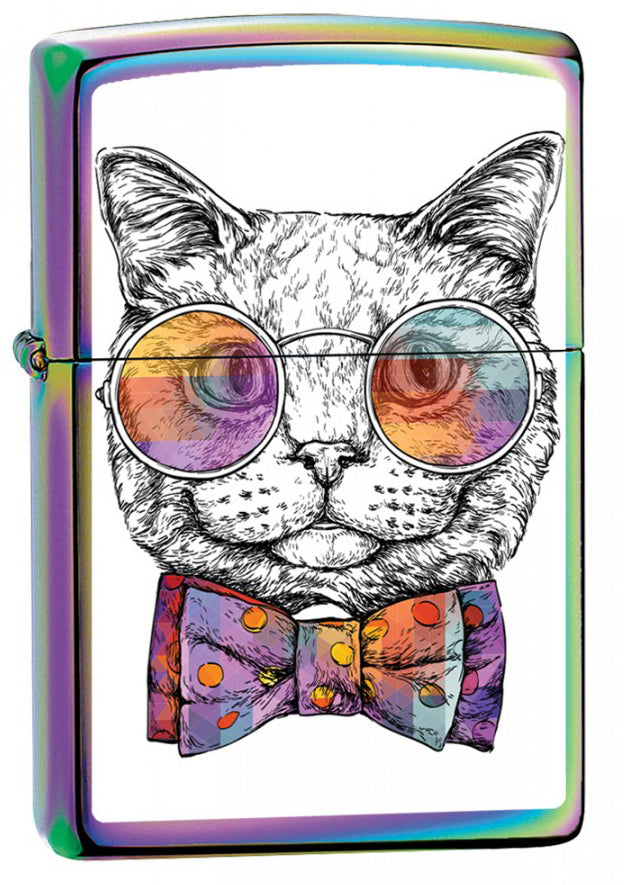 Cat with Glasses