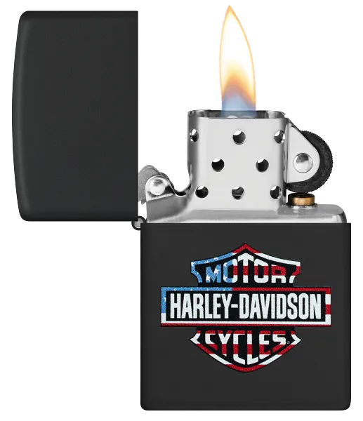 Harley-Davidson® Classic Logo Design