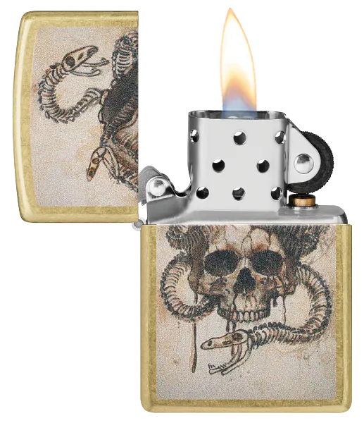Skull Snake Design