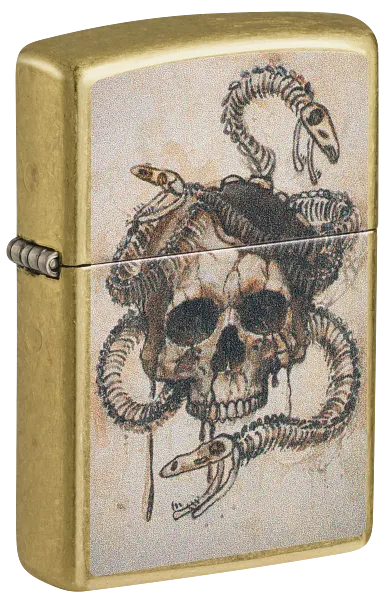 Skull Snake Design