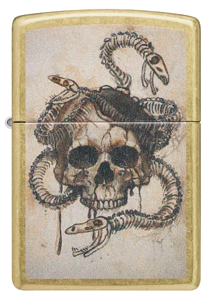 Skull Snake Design