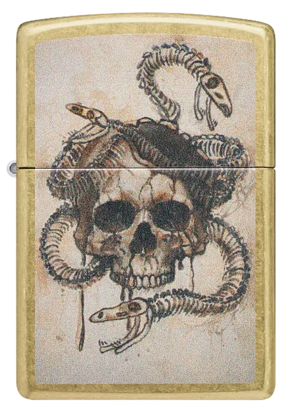 Skull Snake Design