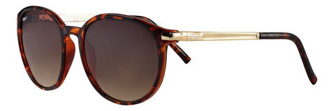 Side view of the Transparent Fifty-nine Sunglasses Leopard frame and brown lenses